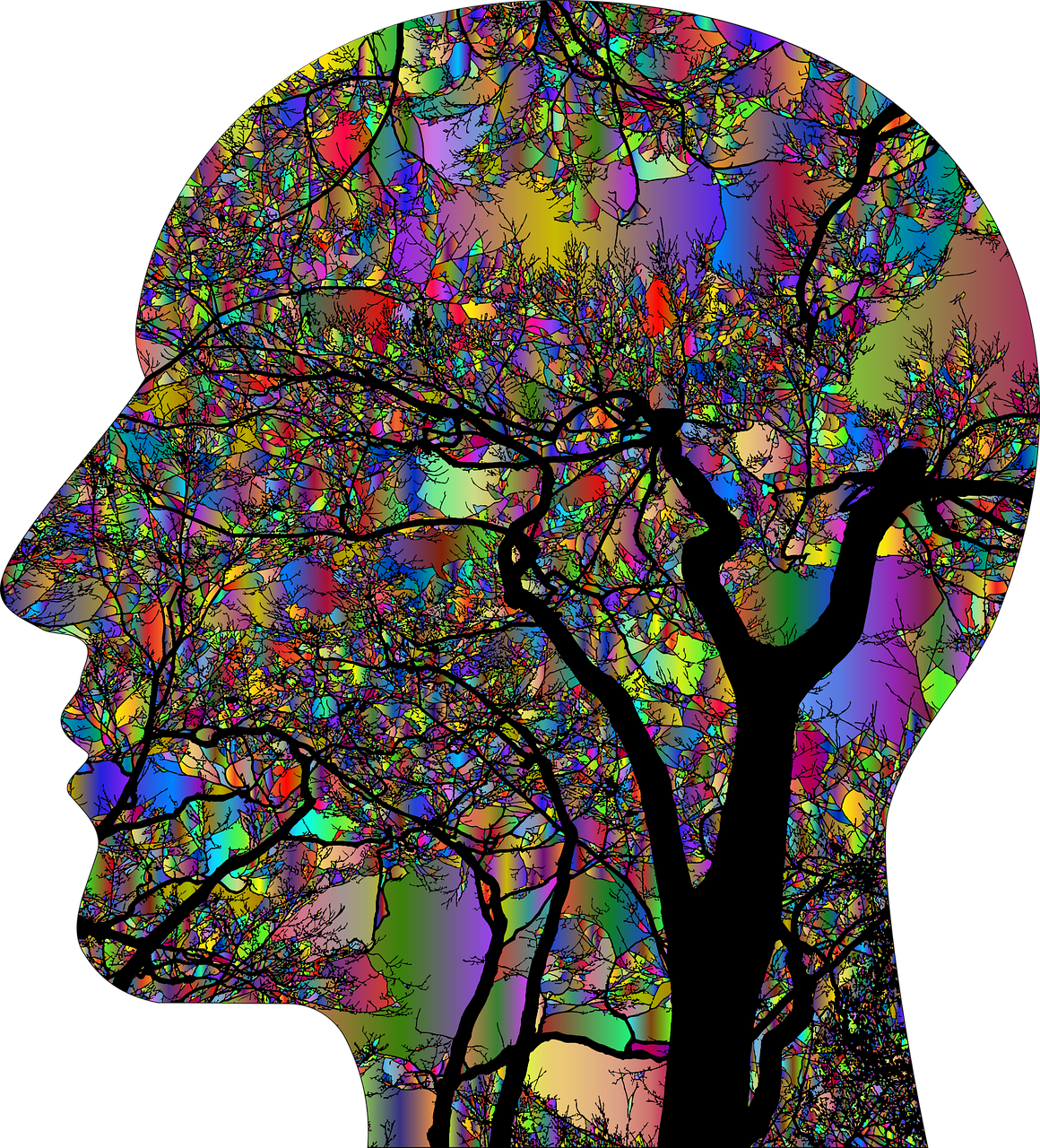 Neurofeedback en Madrid